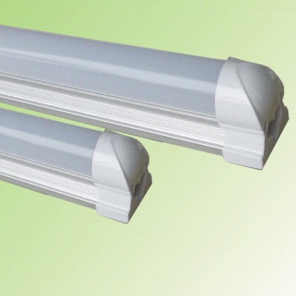 tlm1_grande